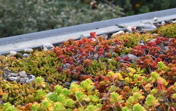 the cost of Warsash green roof installation