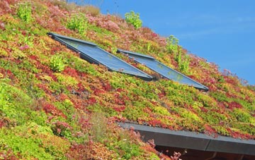Warsash living roof systems